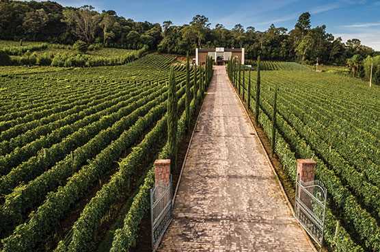 Infraestrutura de segurança com condomínio
totalmente murado e portaria 24 horas